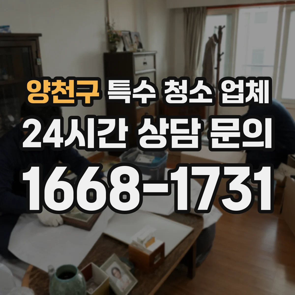 양천구 특수 청소 업체