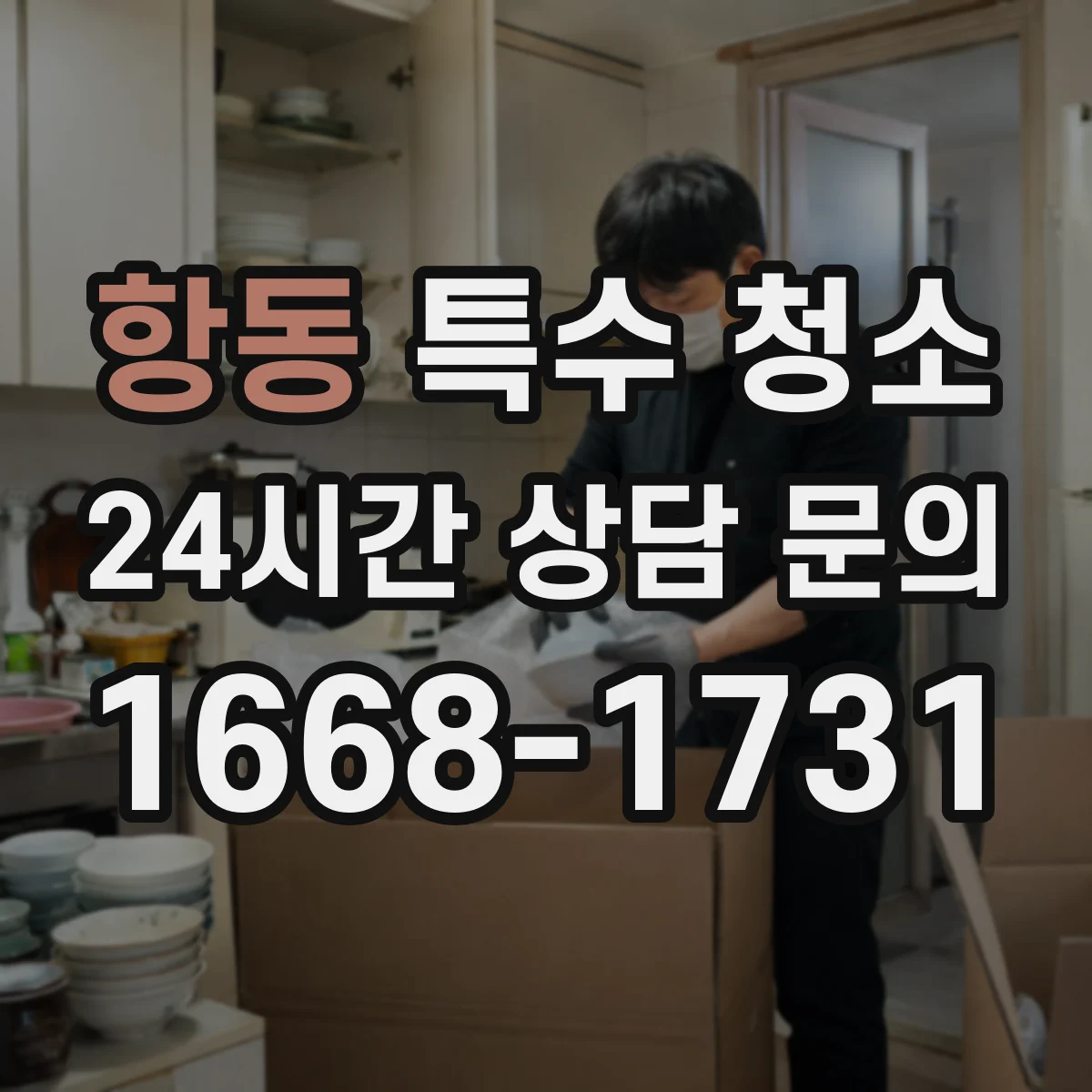 항동 특수 청소