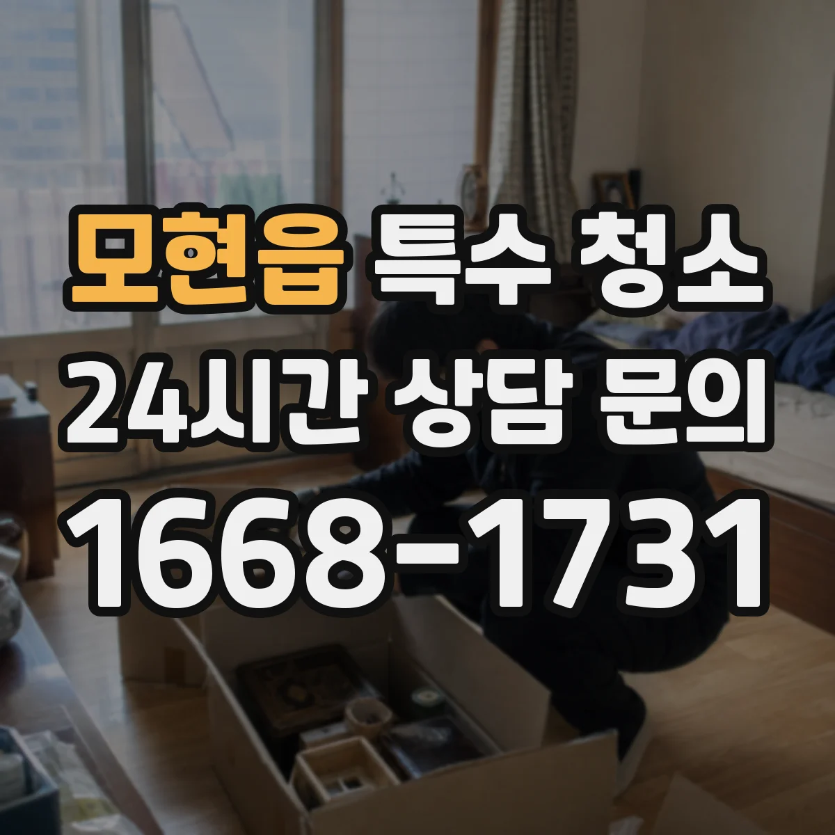 모현읍 특수 청소