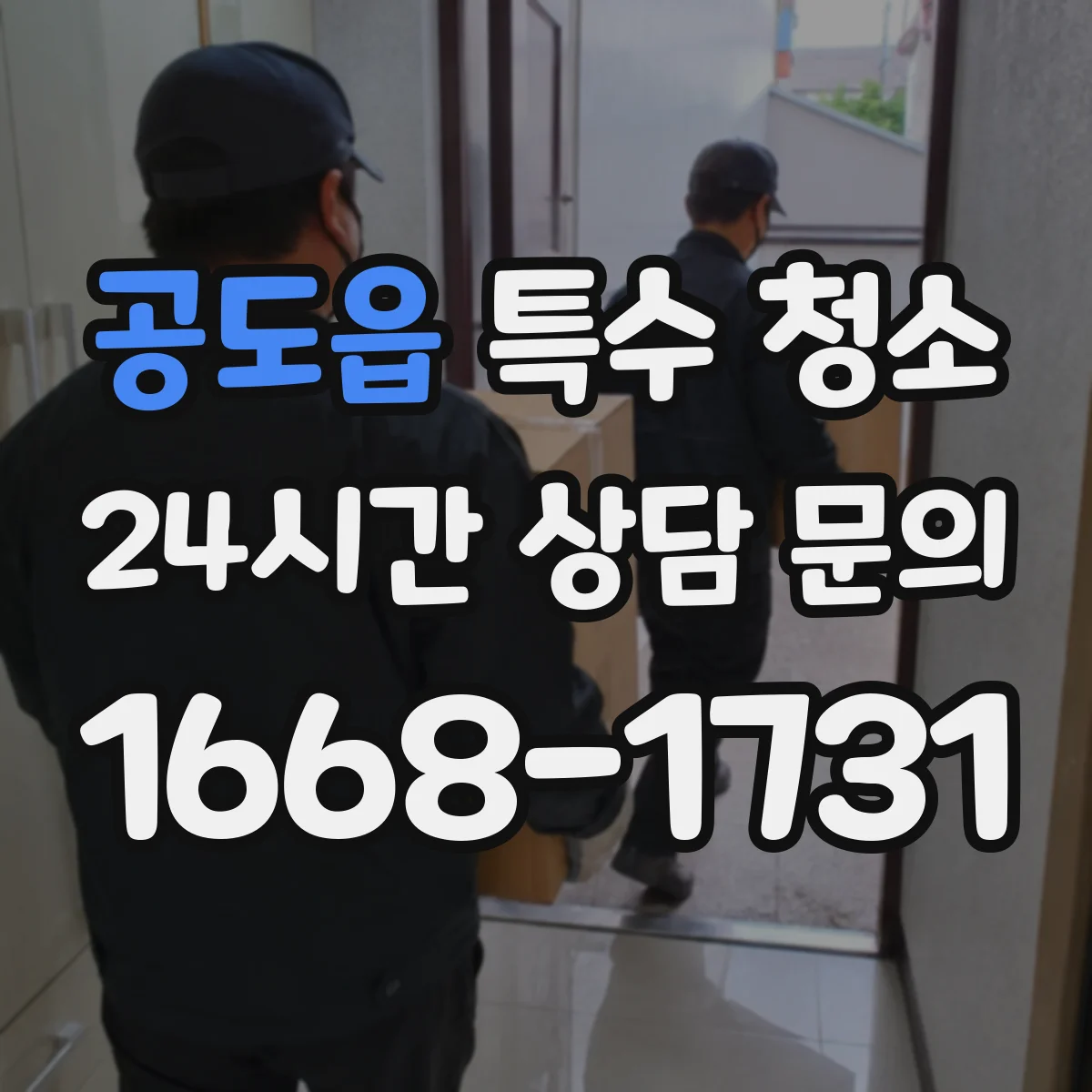 공도읍 특수 청소