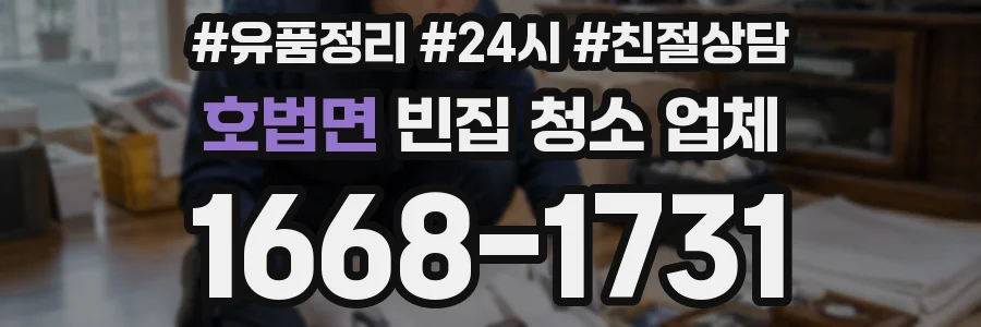 호법면 빈집 청소 업체