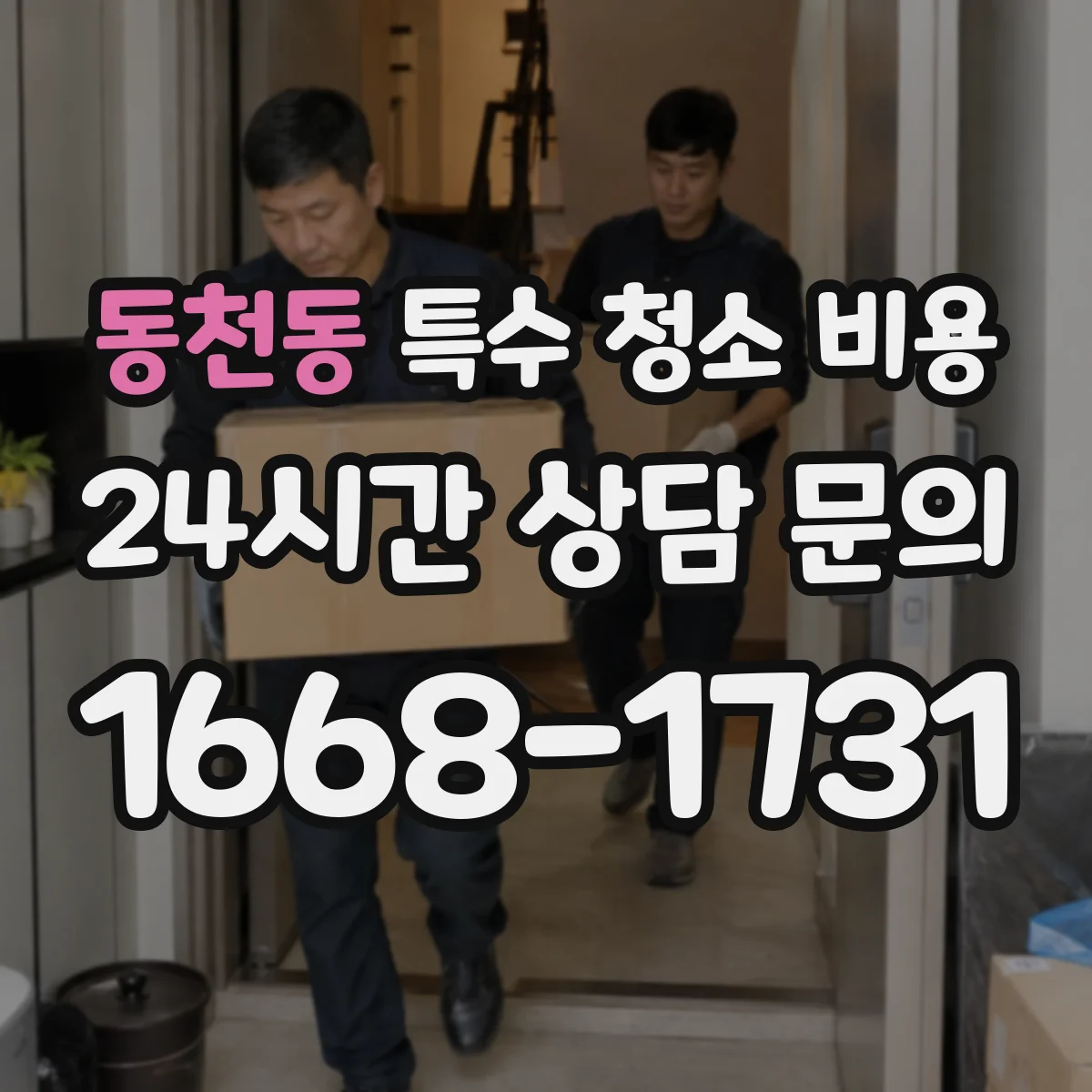 동천동 특수 청소 비용