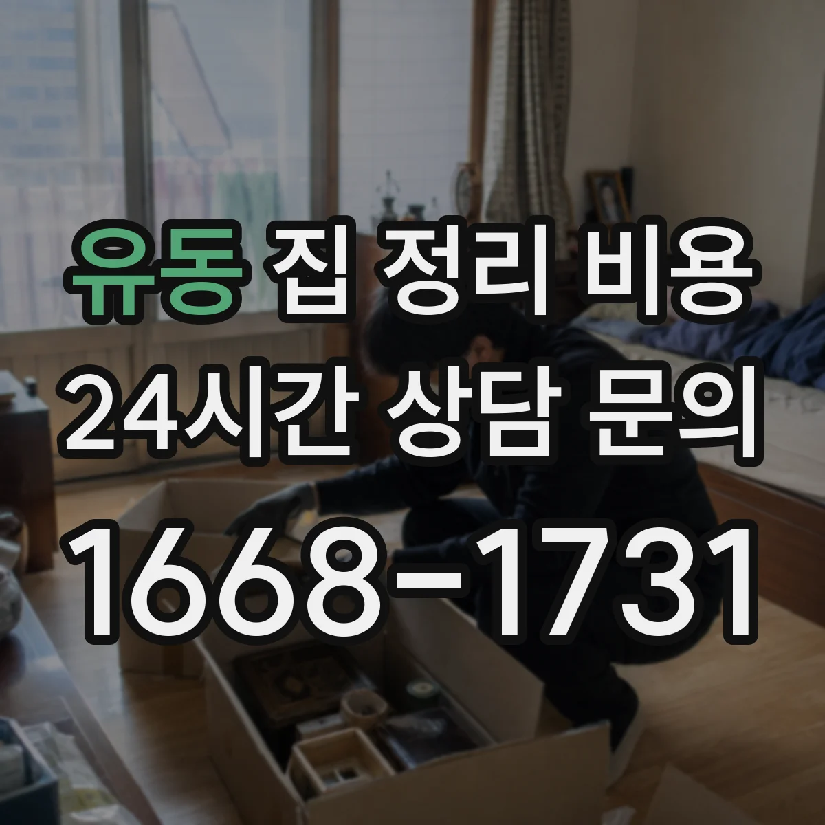 유동 집 정리 비용