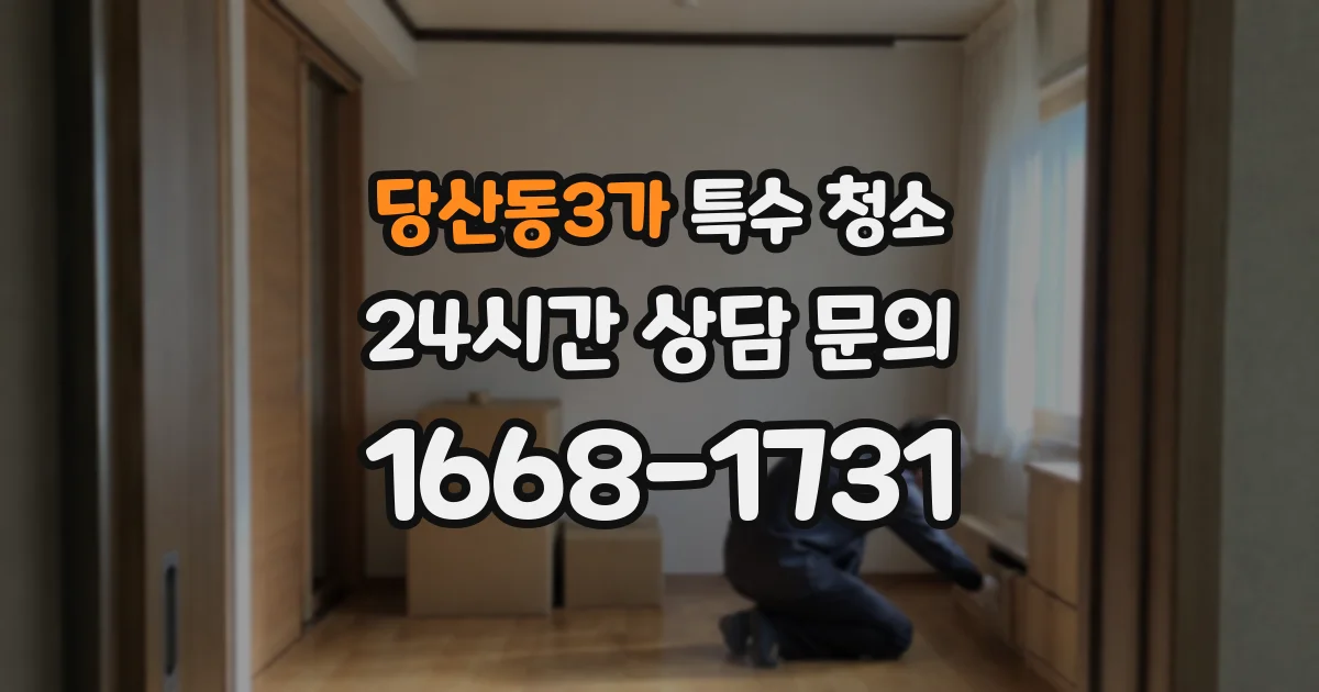 당산동3가 특수 청소