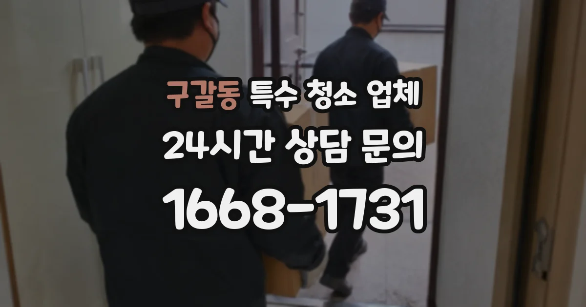 구갈동 특수 청소 업체