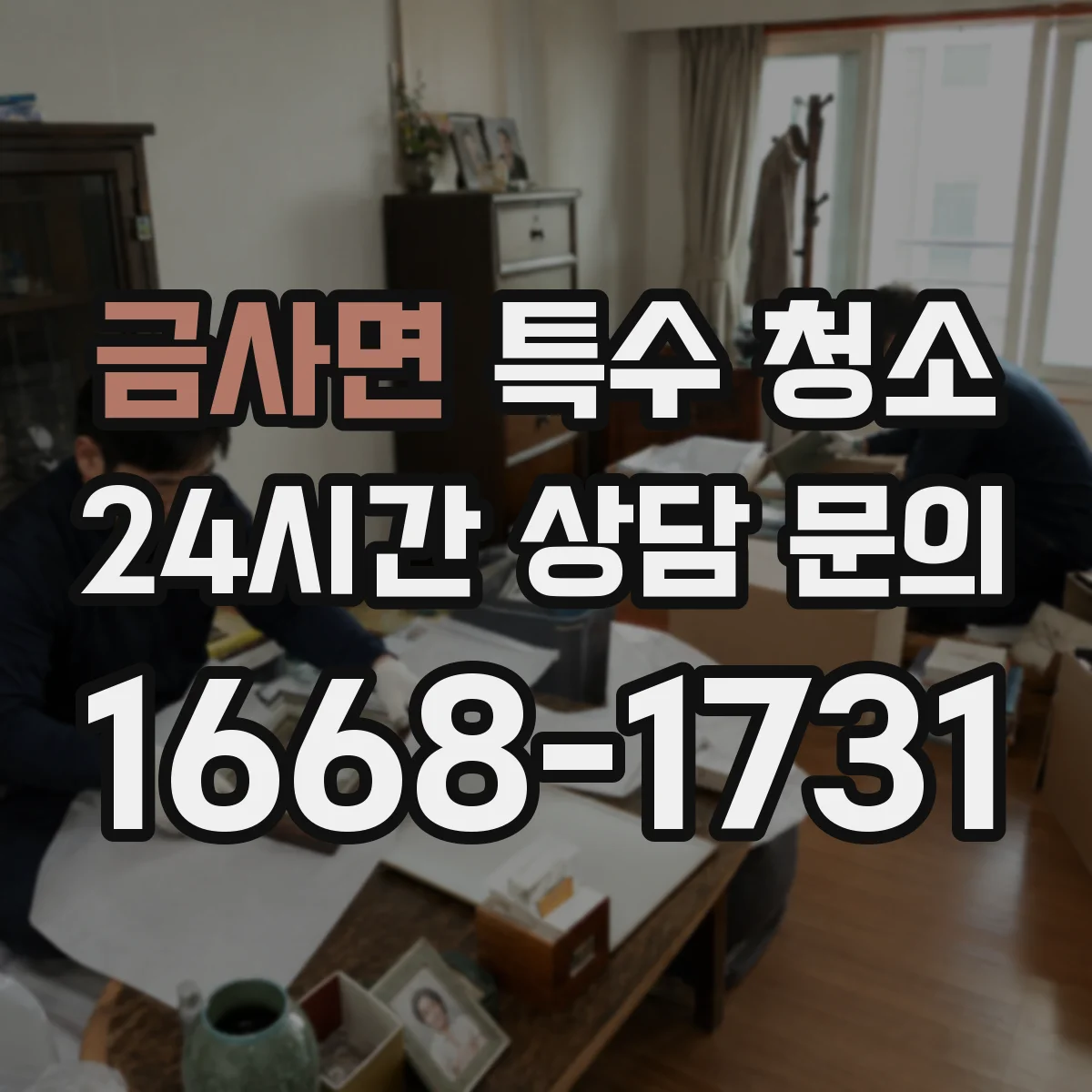 금사면 특수 청소