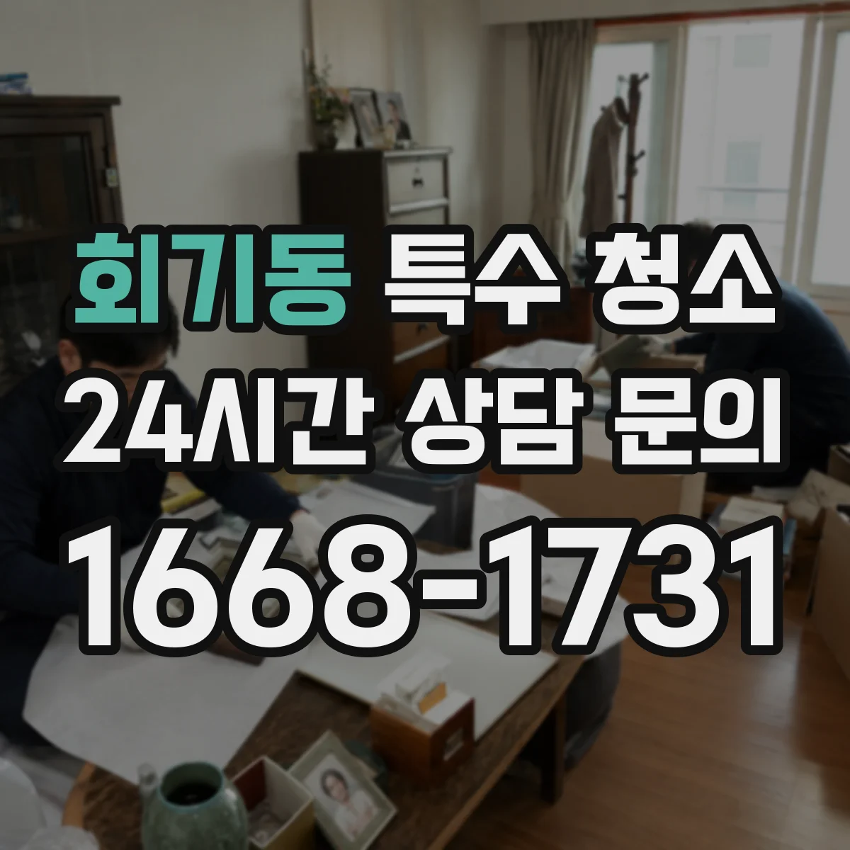 회기동 특수 청소