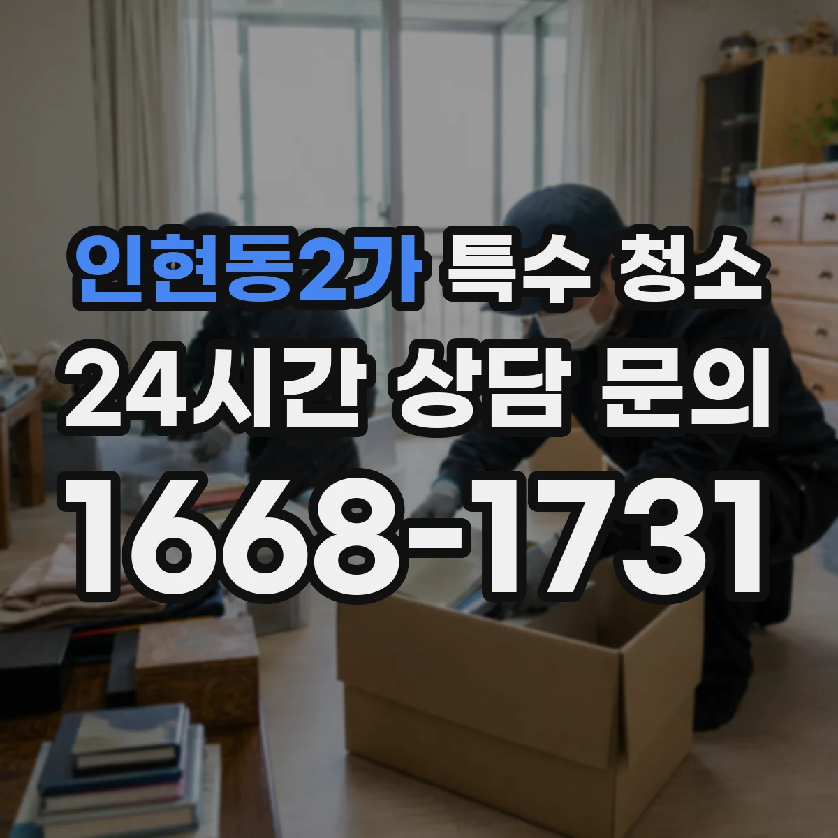 인현동2가 특수 청소
