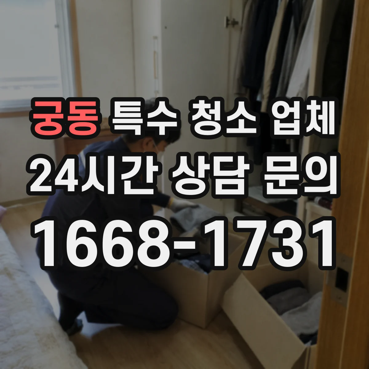 궁동 특수 청소 업체