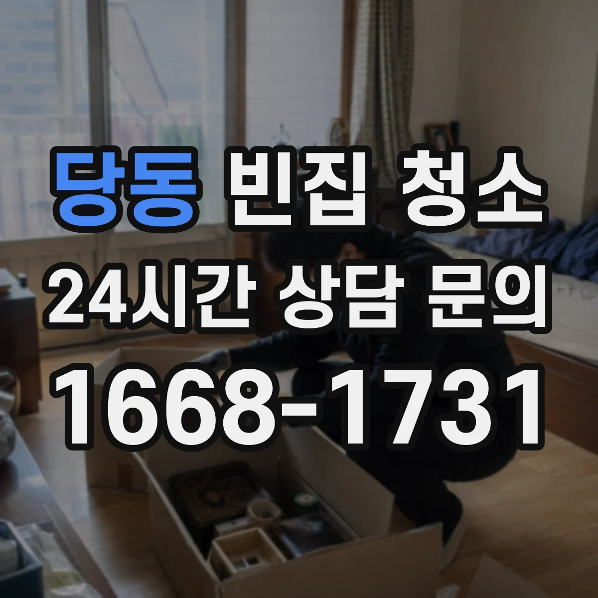 당동 빈집 청소