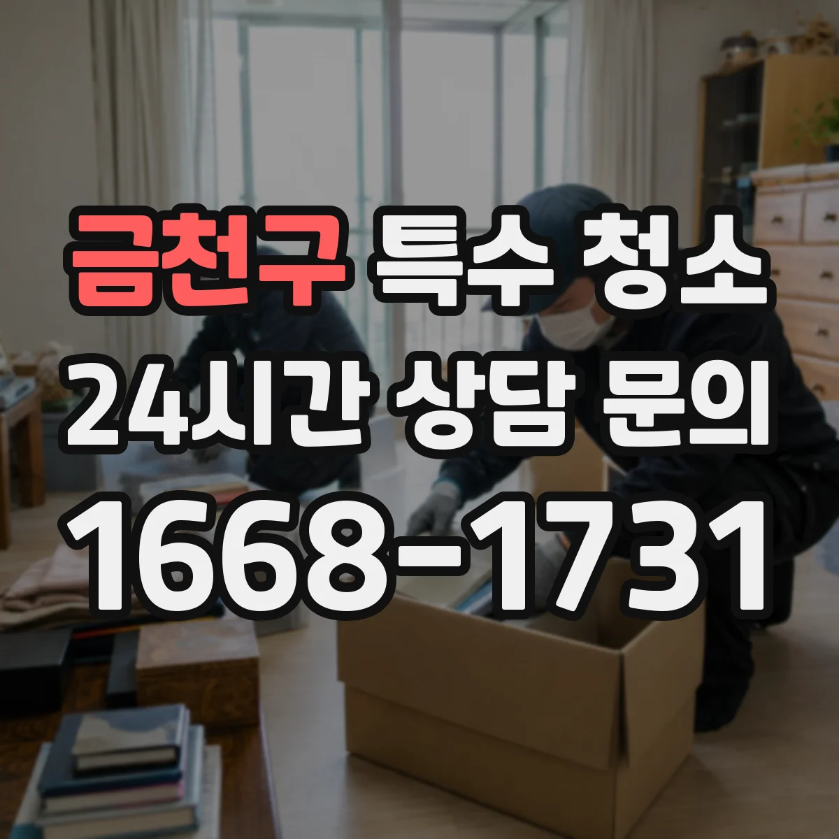 금천구 특수 청소