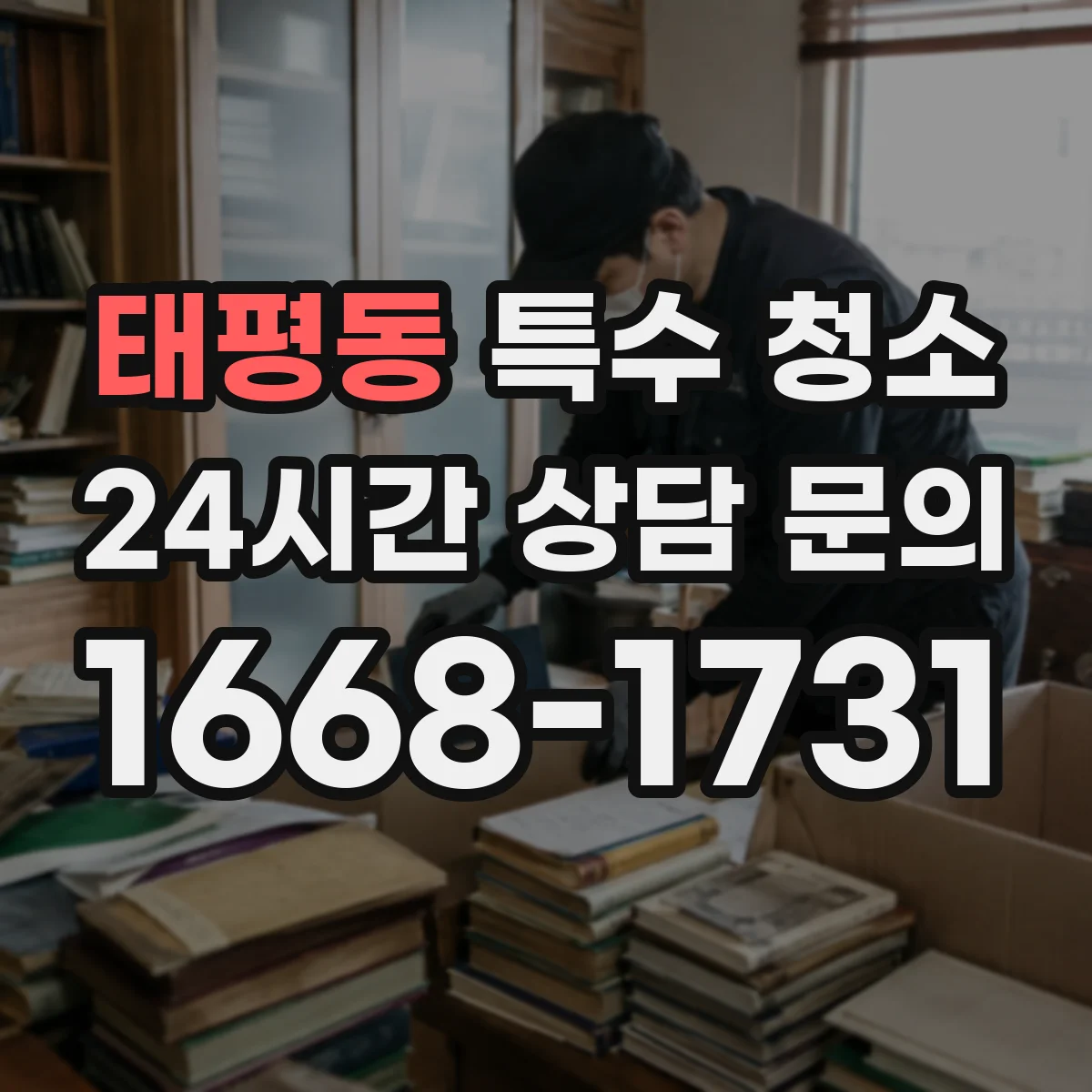 태평동 특수 청소