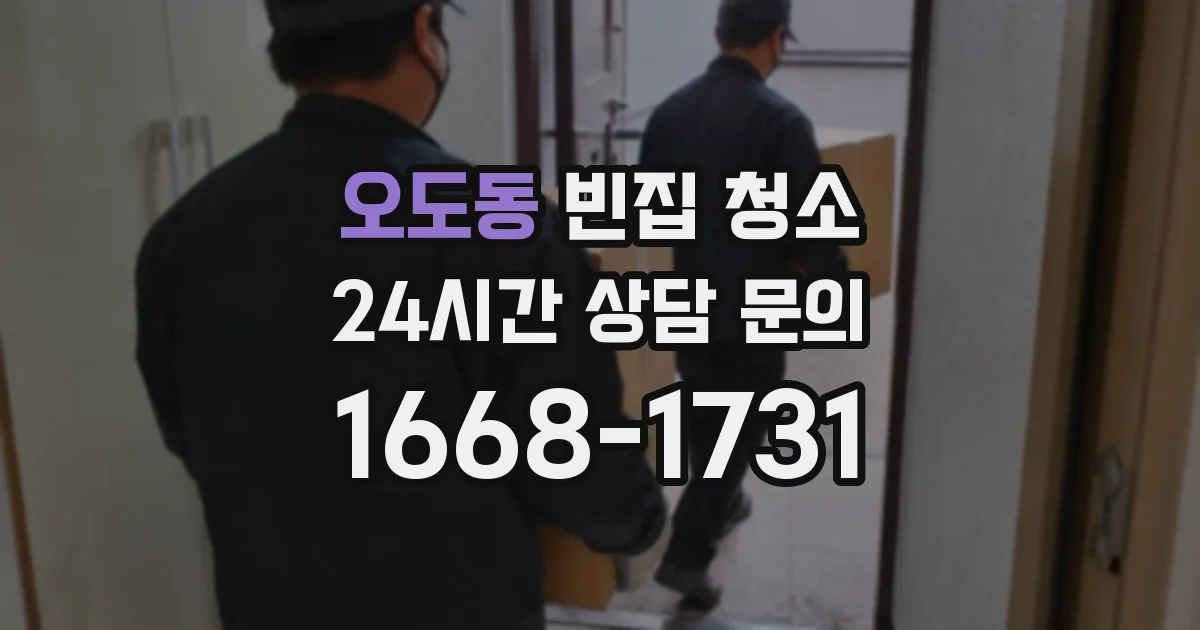 오도동 빈집 청소