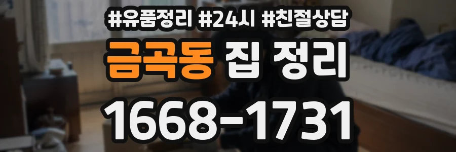 금곡동 집 정리