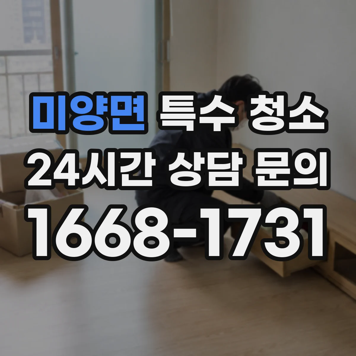 미양면 특수 청소