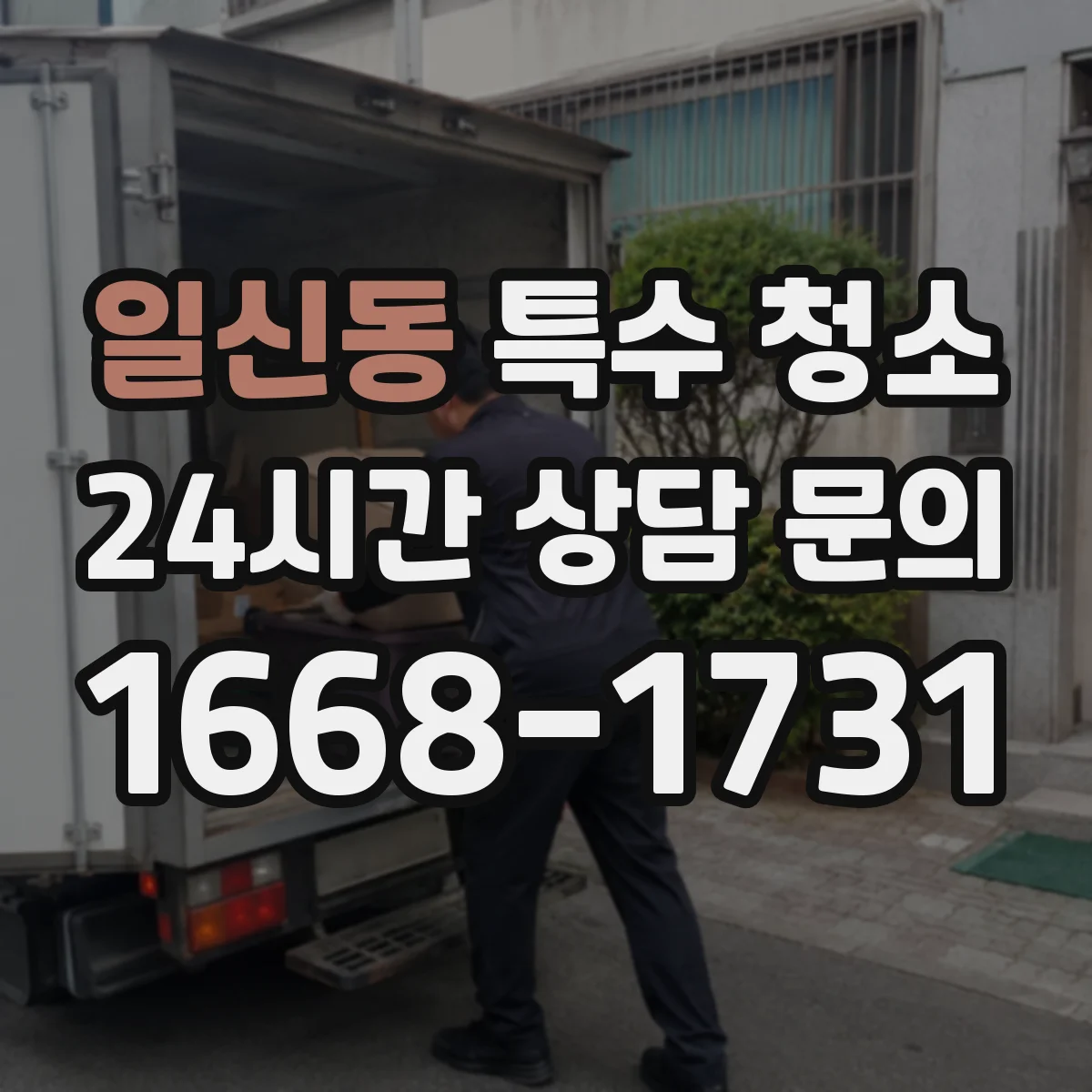 일신동 특수 청소