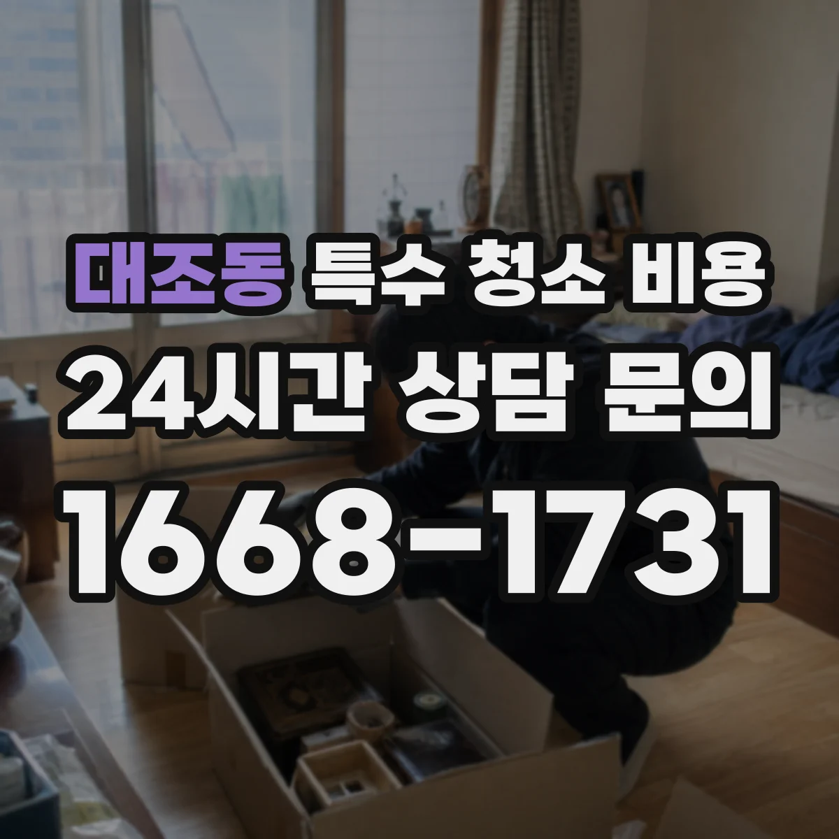 대조동 특수 청소 비용