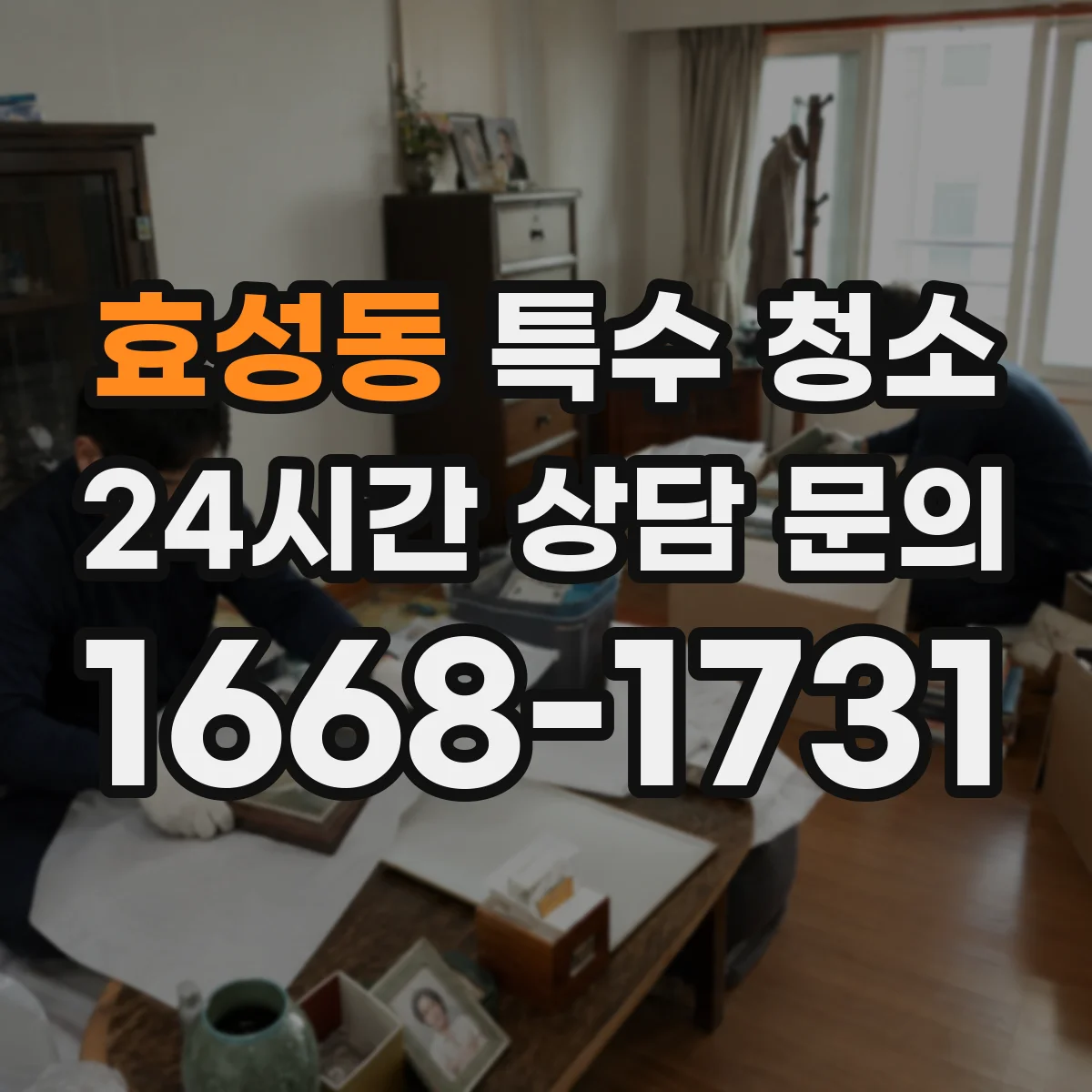 효성동 특수 청소