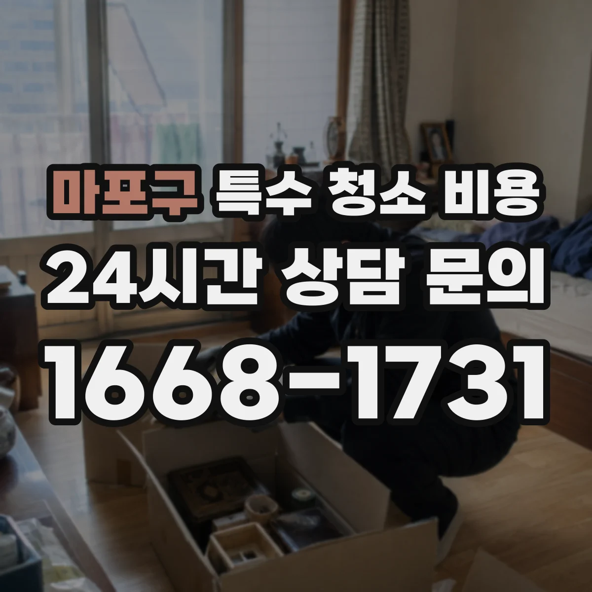 마포구 특수 청소 비용