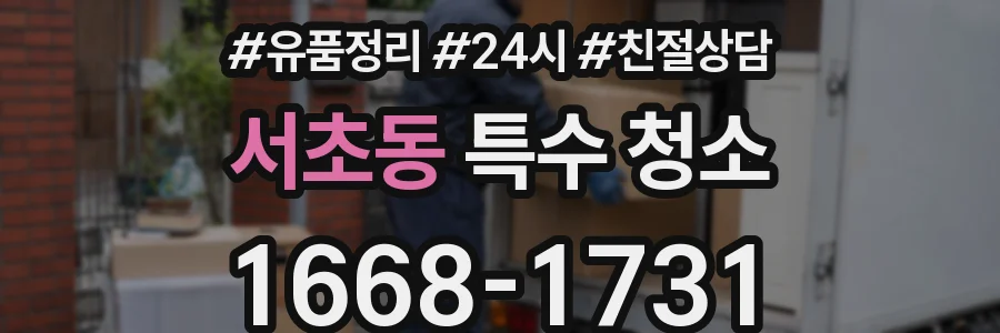 서초동 특수 청소