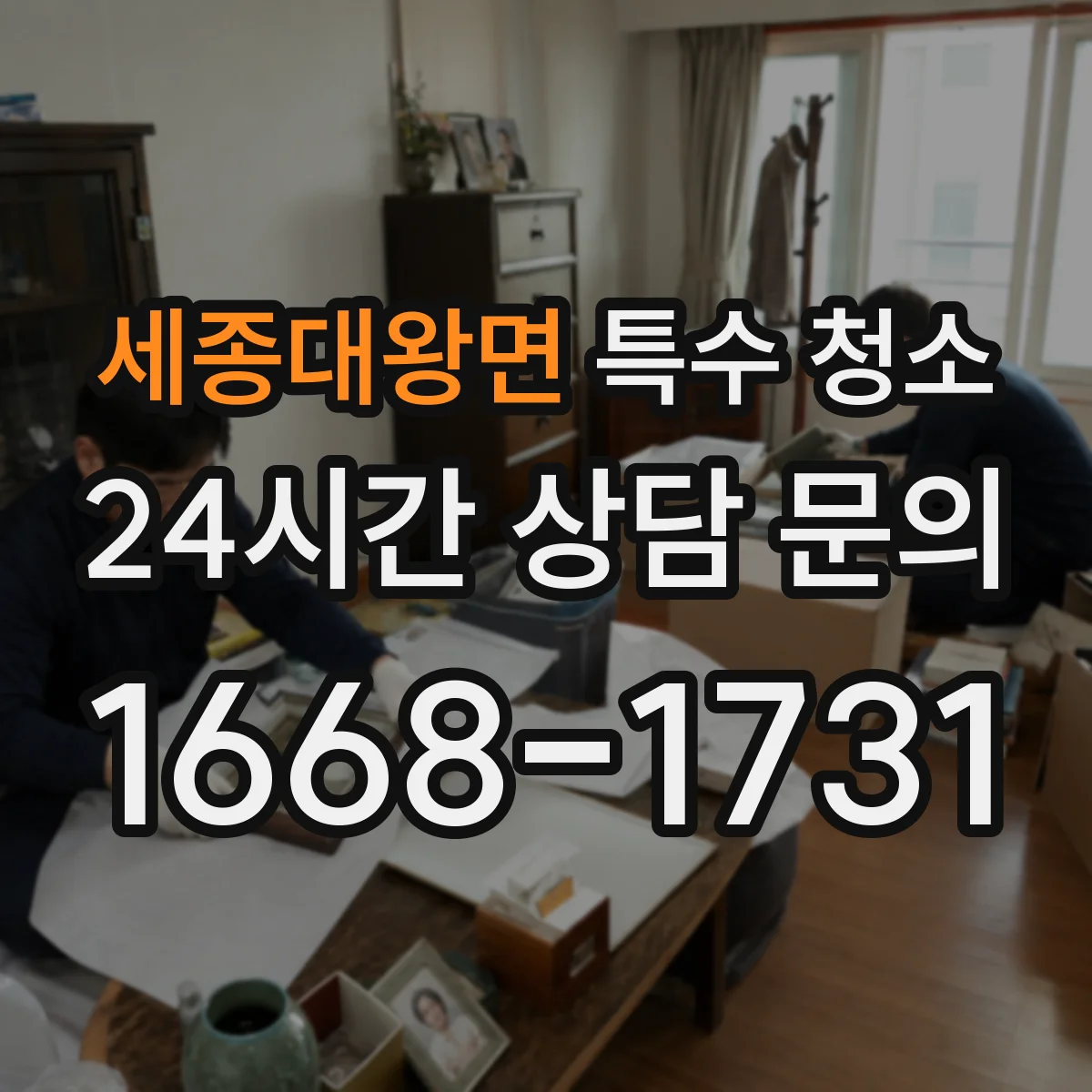 세종대왕면 특수 청소