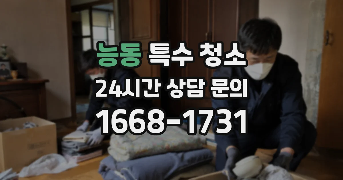 능동 특수 청소