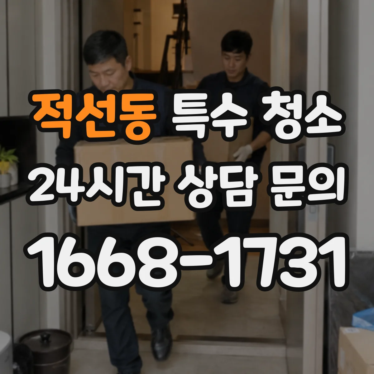적선동 특수 청소