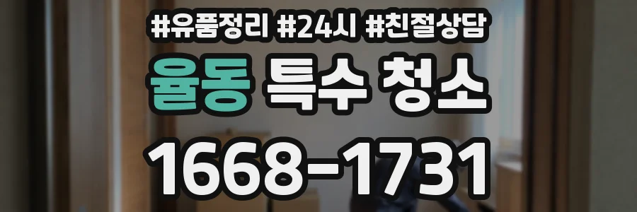 율동 특수 청소