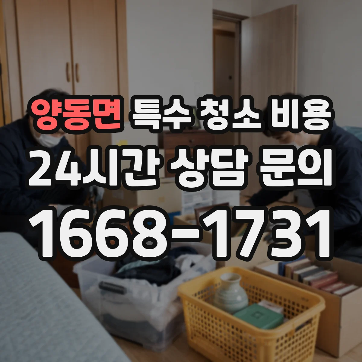 양동면 특수 청소 비용