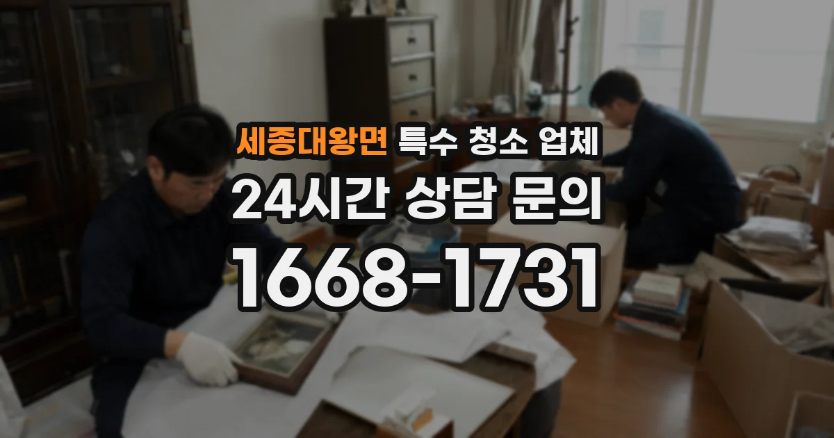 세종대왕면 특수 청소 업체