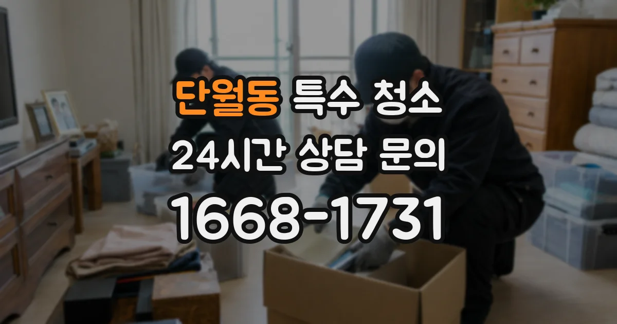 단월동 특수 청소