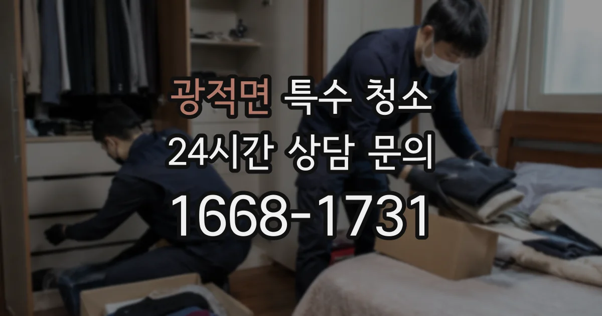 광적면 특수 청소