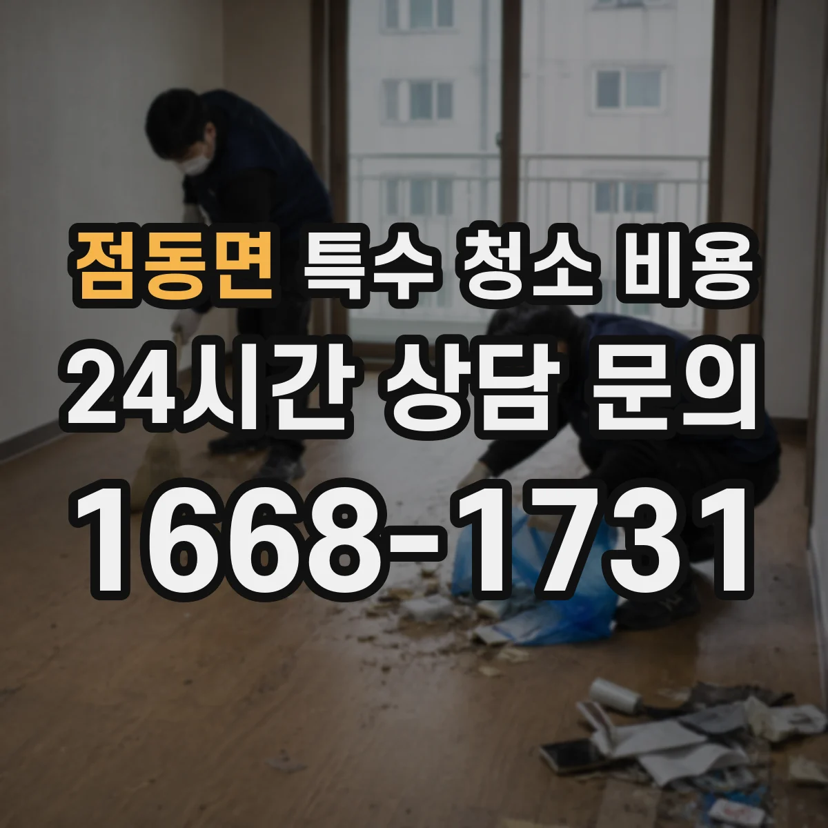 점동면 특수 청소 비용