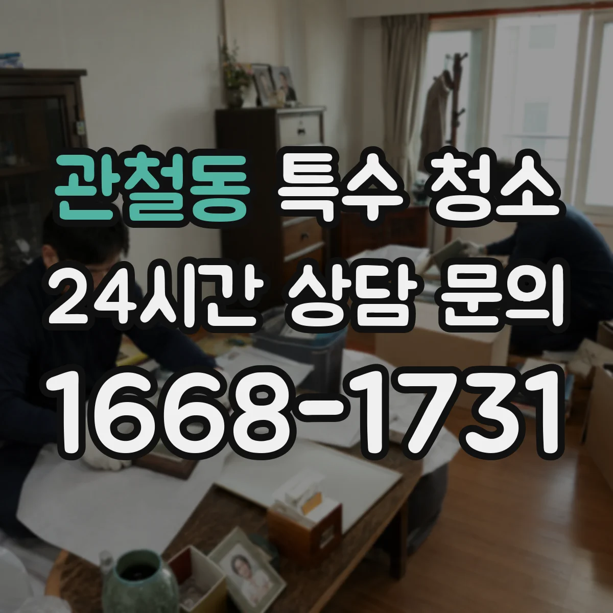 관철동 특수 청소