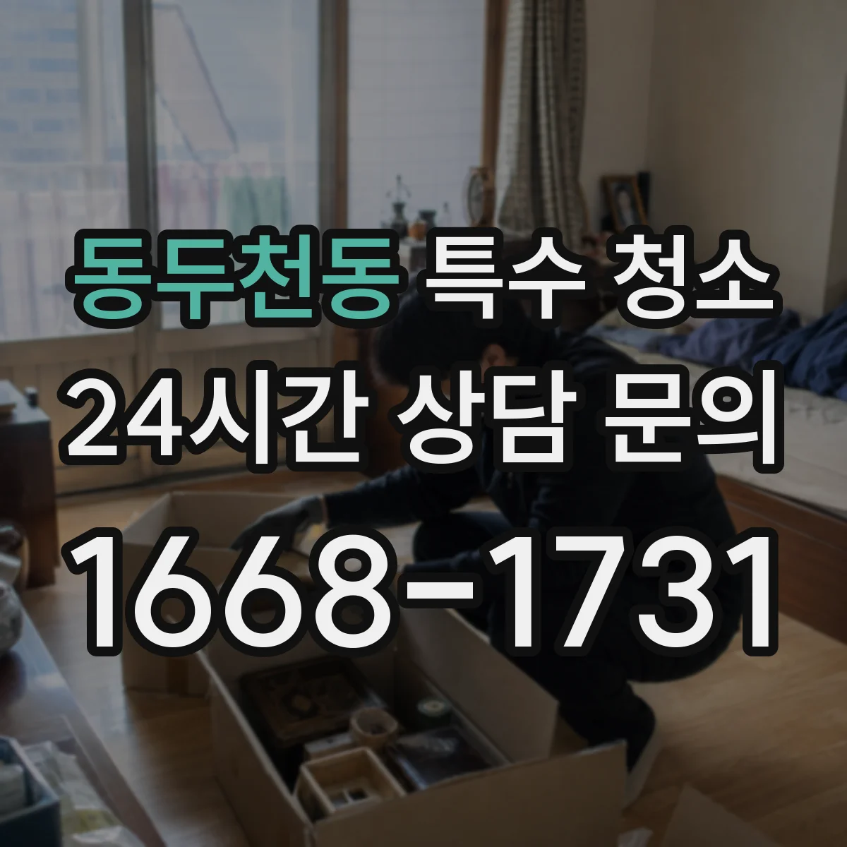 동두천동 특수 청소