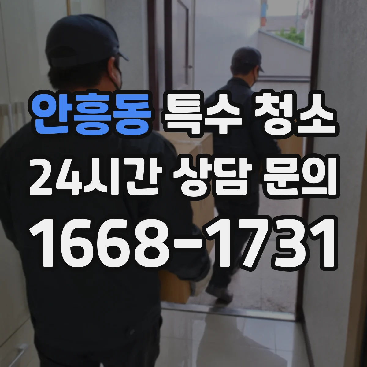 안흥동 특수 청소