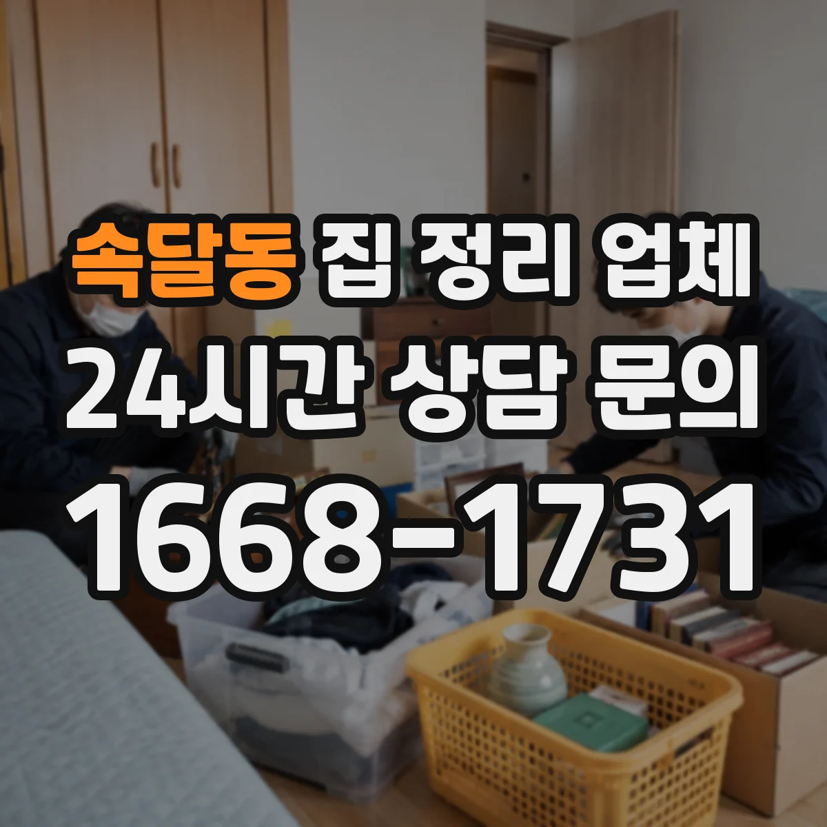 속달동 집 정리 업체