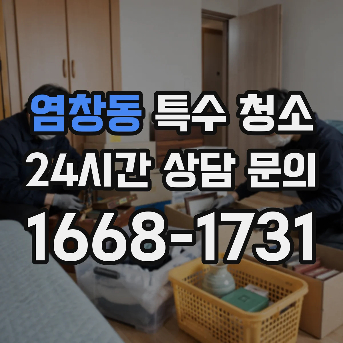염창동 특수 청소
