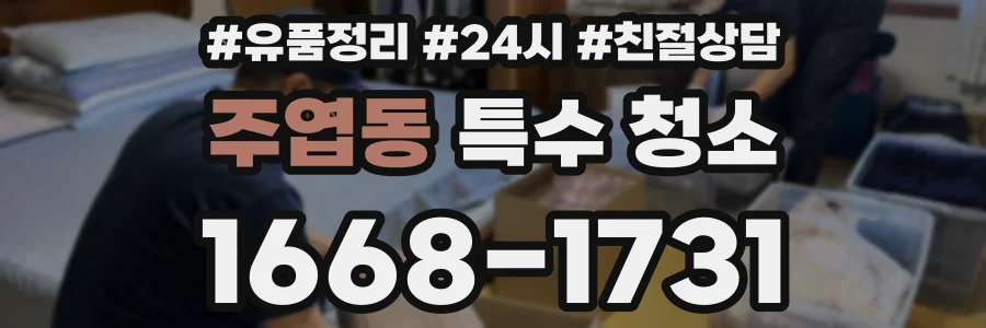 주엽동 특수 청소