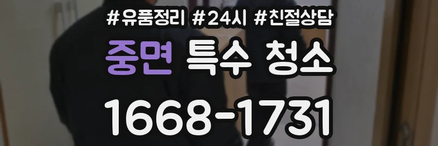 중면 특수 청소