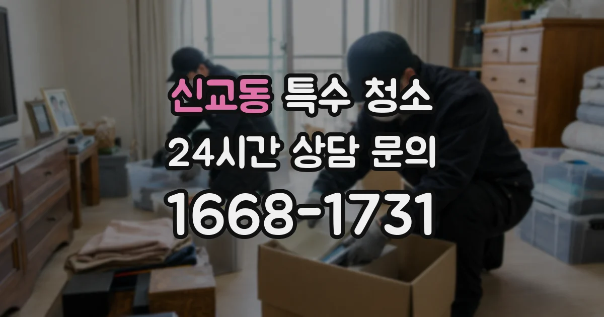 신교동 특수 청소