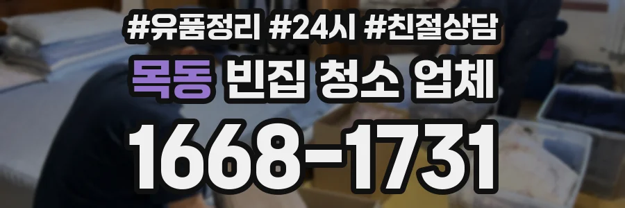목동 빈집 청소 업체