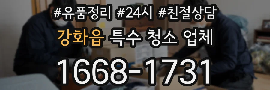 강화읍 특수 청소 업체