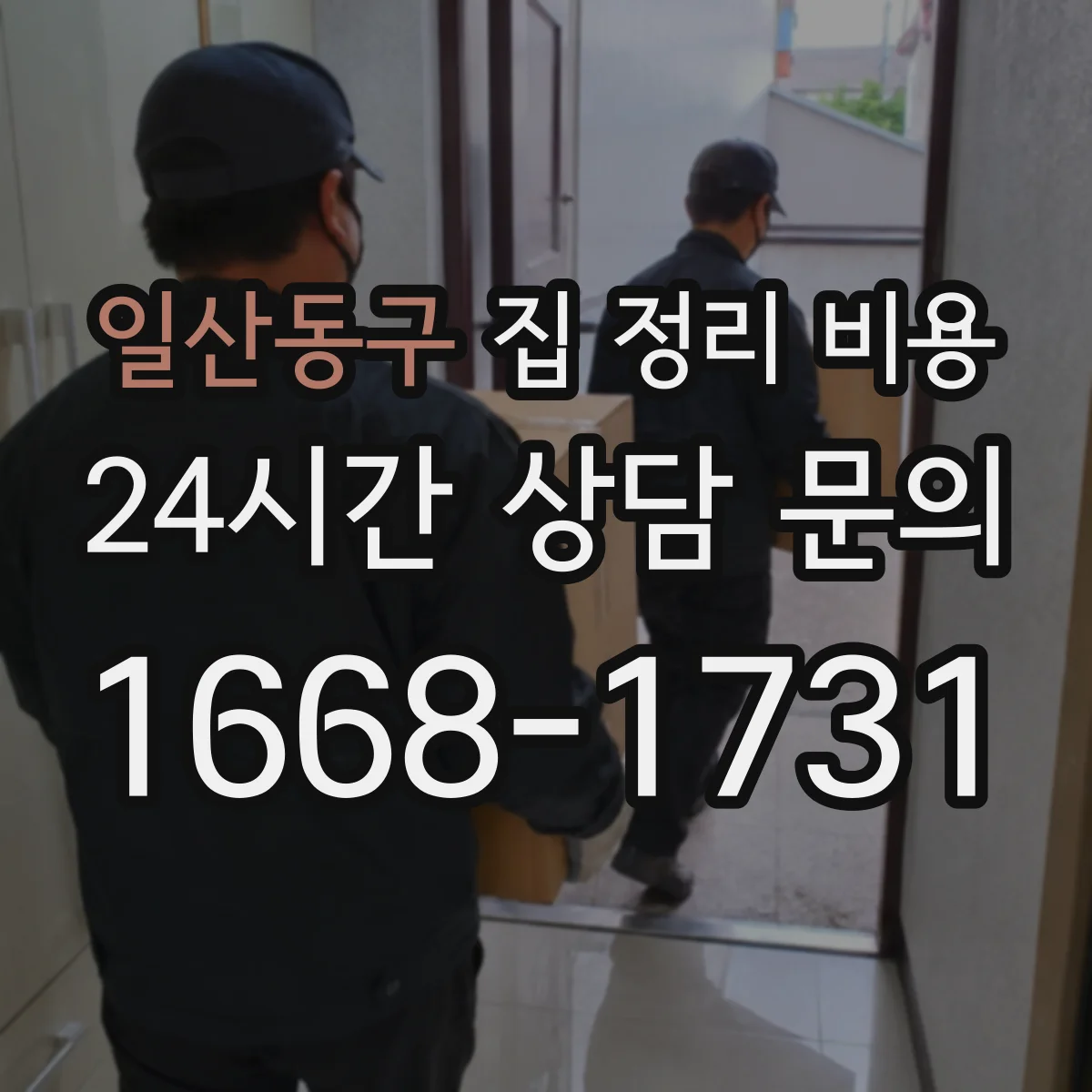 일산동구 집 정리 비용 이사 전 정리와 포장재 포함 견적 차이