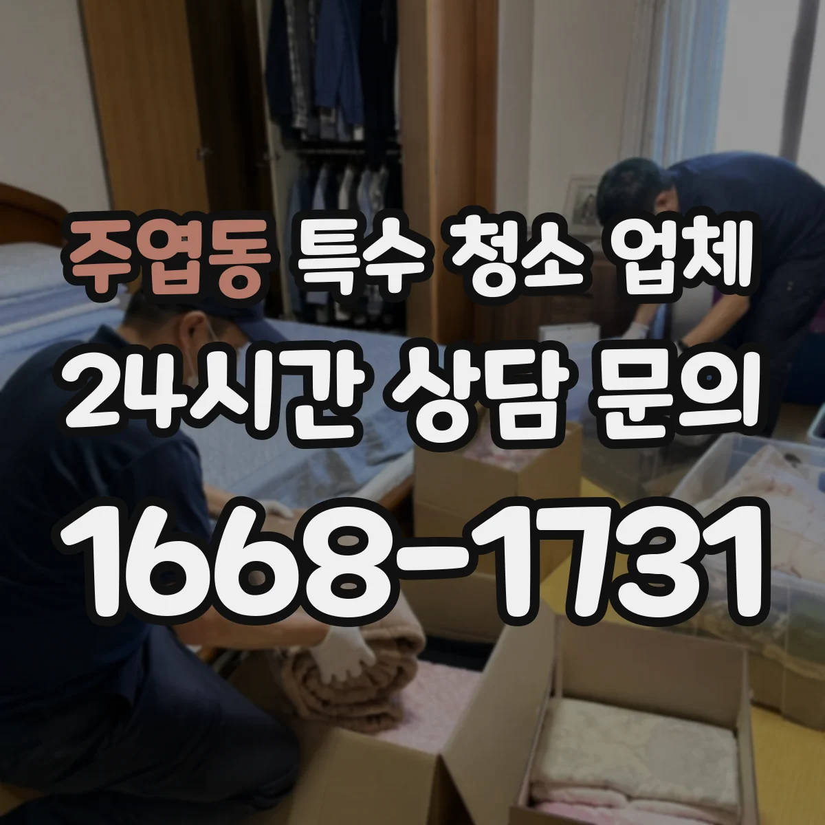 주엽동 특수 청소 업체