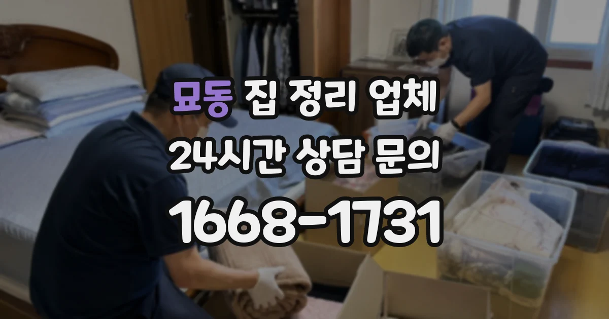 묘동 집 정리 업체