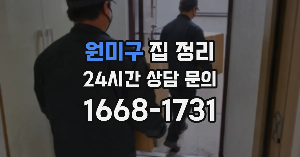 원미구 집 정리