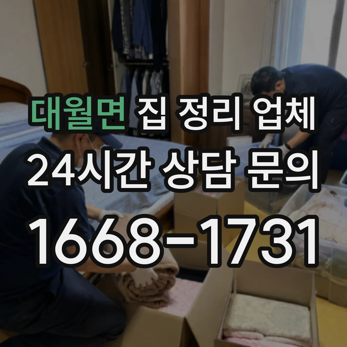 대월면 집 정리 업체