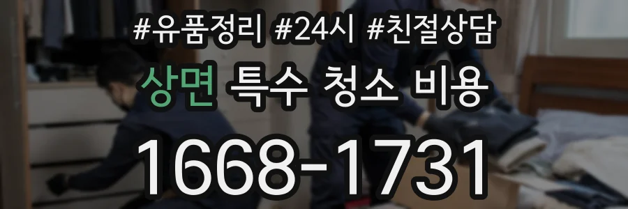 상면 특수 청소 비용