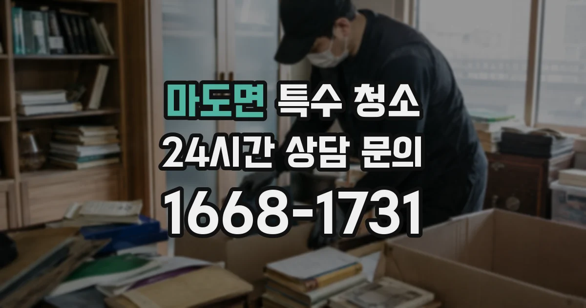 마도면 특수 청소